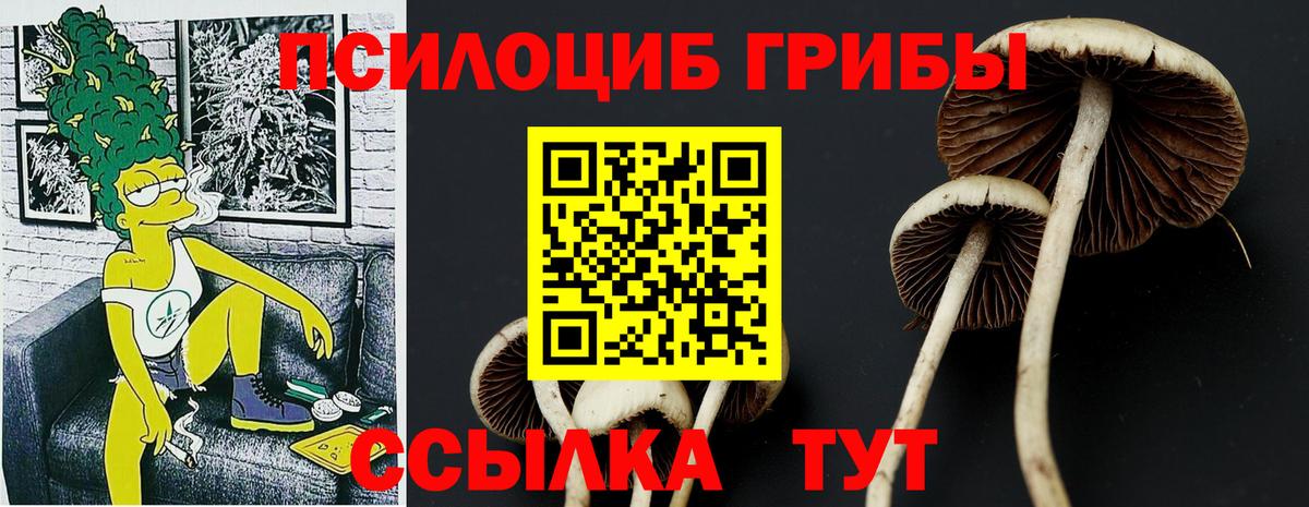 Псилоцибиновые грибы мухоморы  Вход с VPN  Галлюциногенные грибы прущие грибы  Киселёвск 